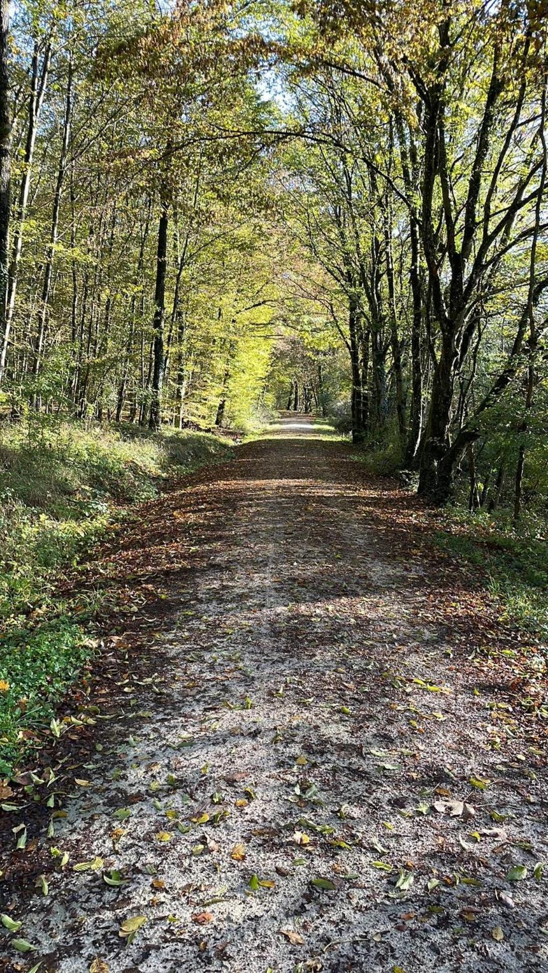 Apartmán Le 40 Sarreguemines Exteriér fotografie